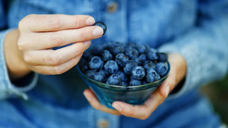 Blueberries: Tiny Fruits with Mighty Powers