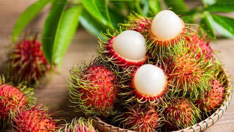 Rambutan