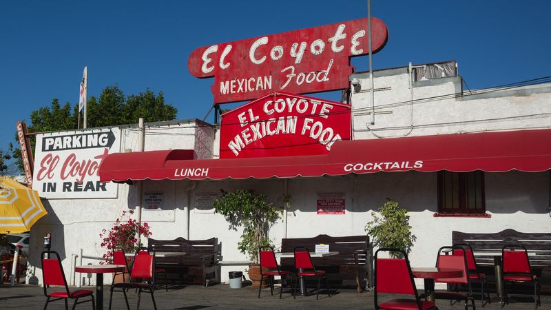 El Coyote