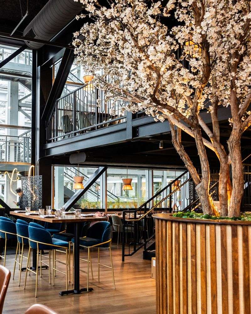Ember Kitchen (Austin)