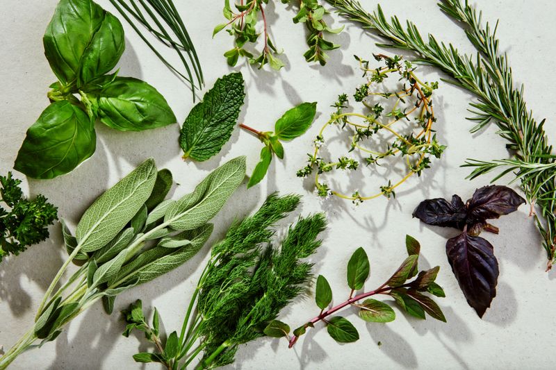 Fresh Herbs