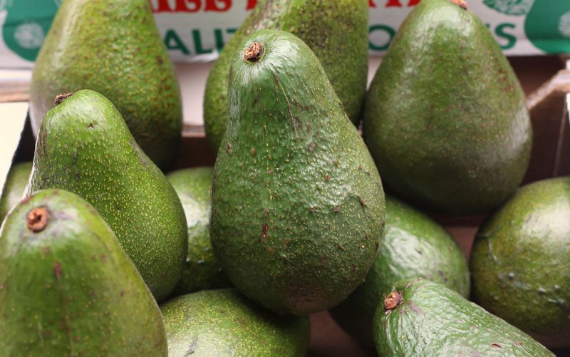 Avocados: Creamy Defenders Against Cholesterol