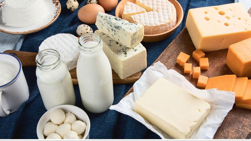 Dairy Products: Creamy B12 Goodness