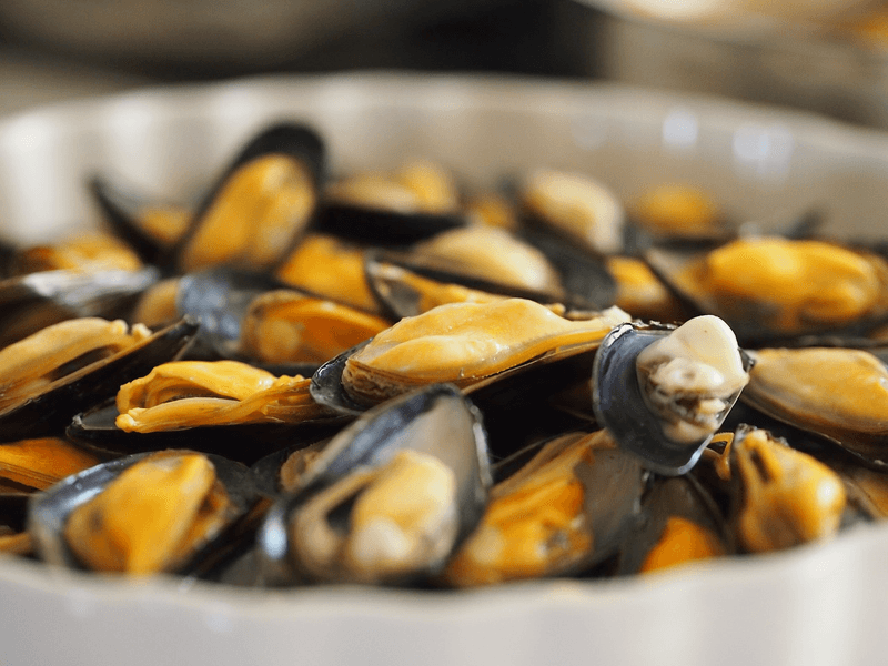 Shellfish