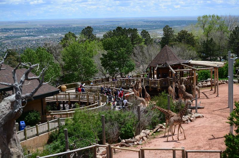 Grizzly Grill at Cheyenne Mountain Zoo, Colorado Springs