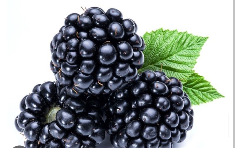 Brain-Boosting Berry Magic