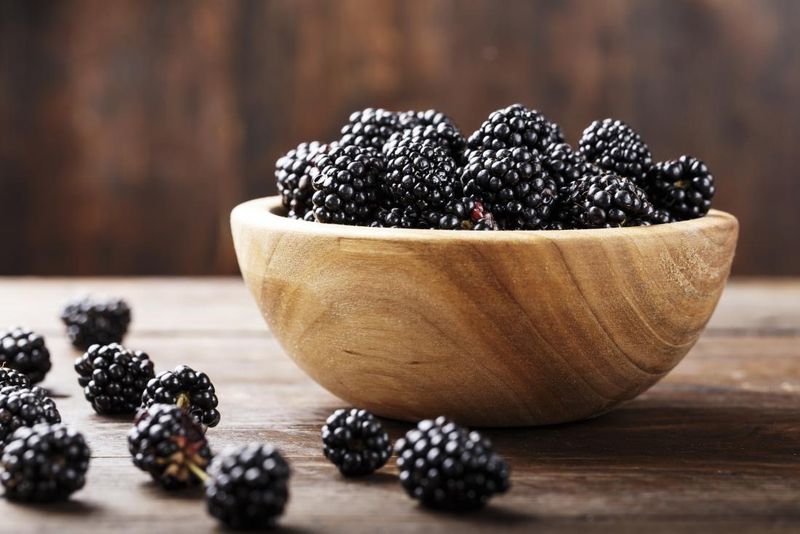 Antioxidant Powerhouse Fights Aging