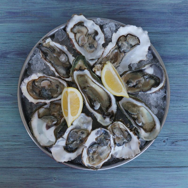 Oysters