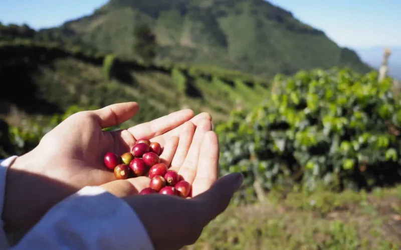 Nicaragua: Hidden Gem of Central America