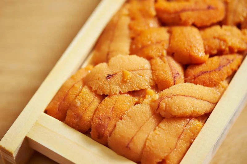 Uni: Golden Tongues from the Sea