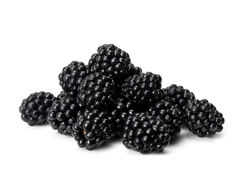 Digestive Health Miracle