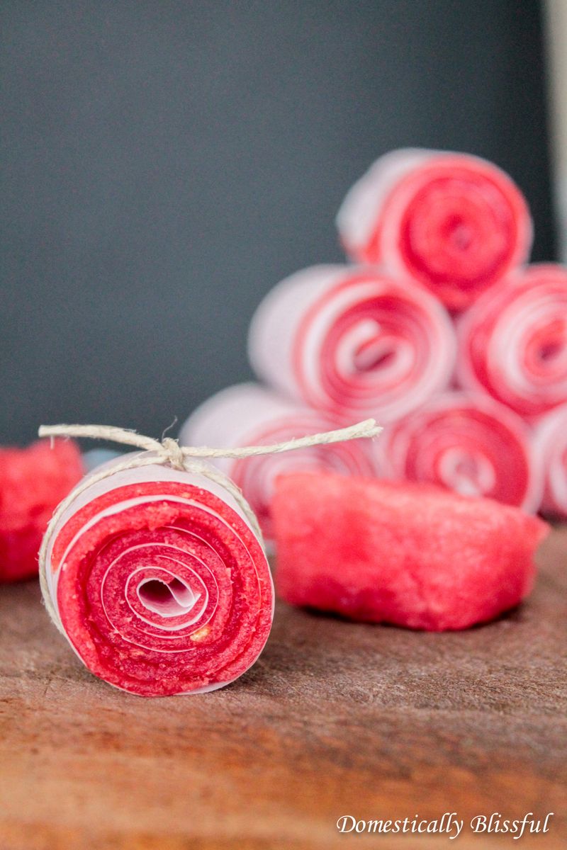 Dehydrate into Fruit Leather