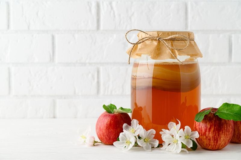 Kombucha