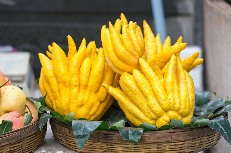 Buddha's Hand
