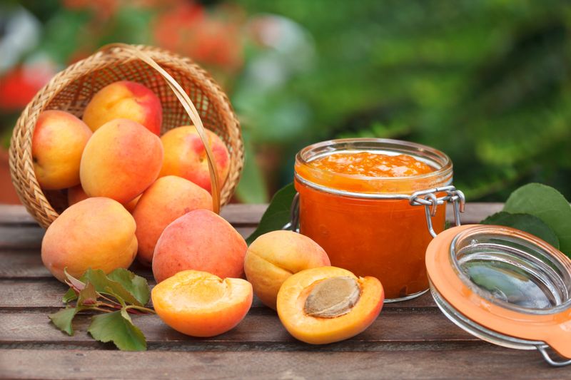 Apricots: Golden Protein Treasures