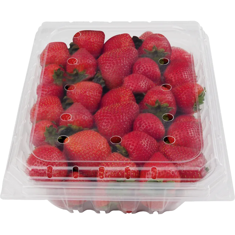Fresh Strawberries