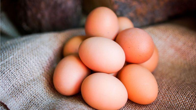Pasture-Raised Eggs