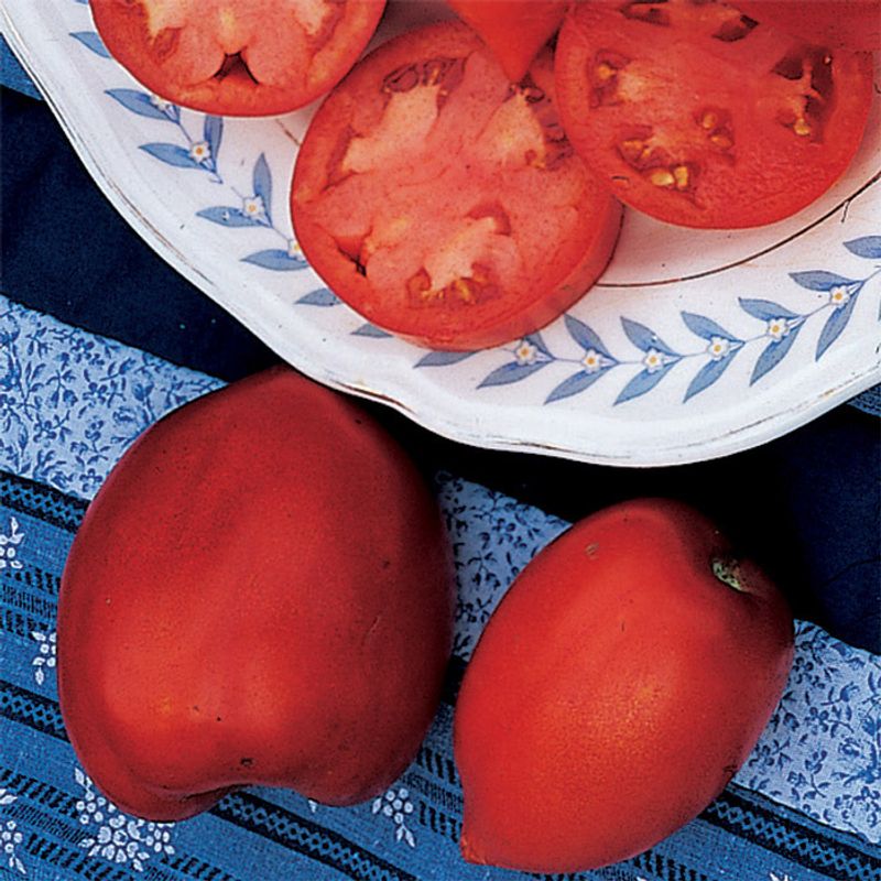 Amish Paste Tomatoes: Heirloom Canning Champions