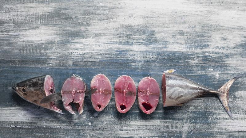 Choose the Right Type of Tuna