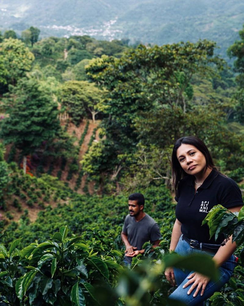Honduras: The Underdog Rising to Excellence