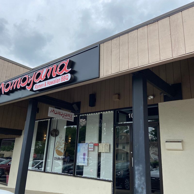 Momoyama Ramen & Hawaiian - Willow Grove