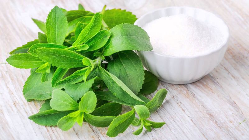 Powerful Plant Extract: Stevia
