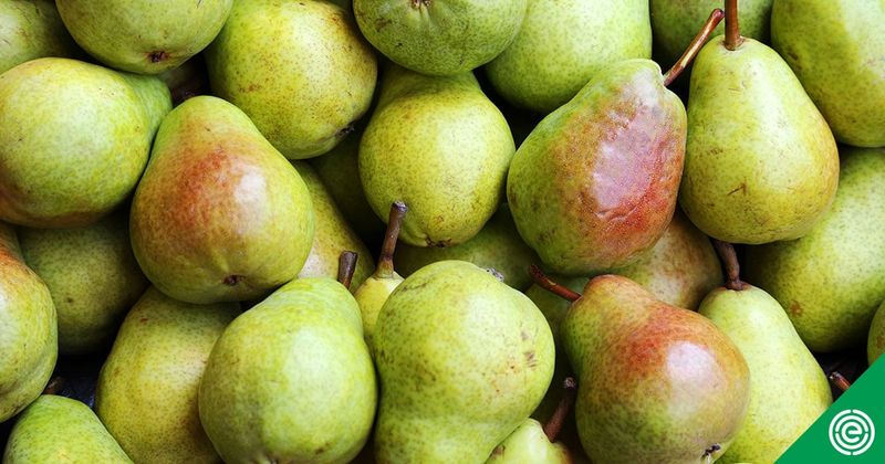 Pears: Pesticides Lurking Under the Surface