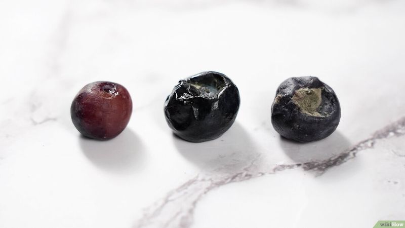 Turning a Blind Eye to Bad Berries