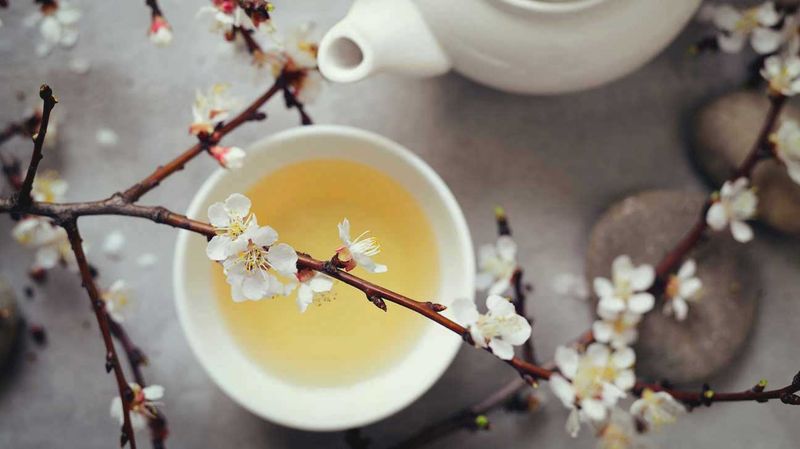 White Tea: The Fat Cell Preventer