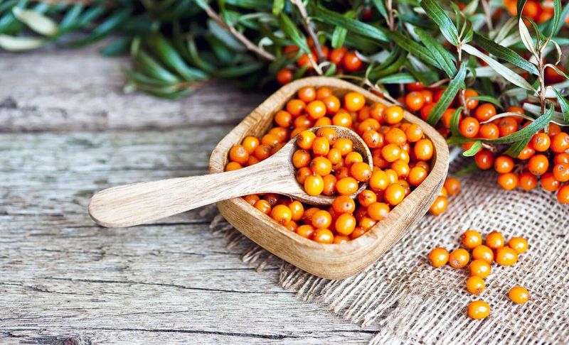 Sea Buckthorn