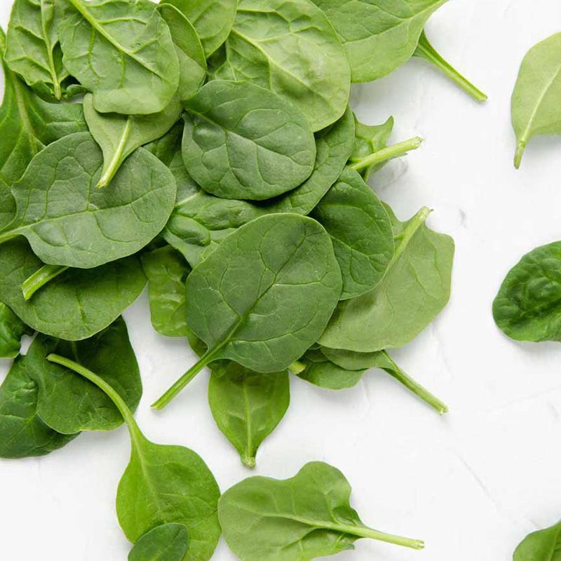 Leafy Spinach Greens