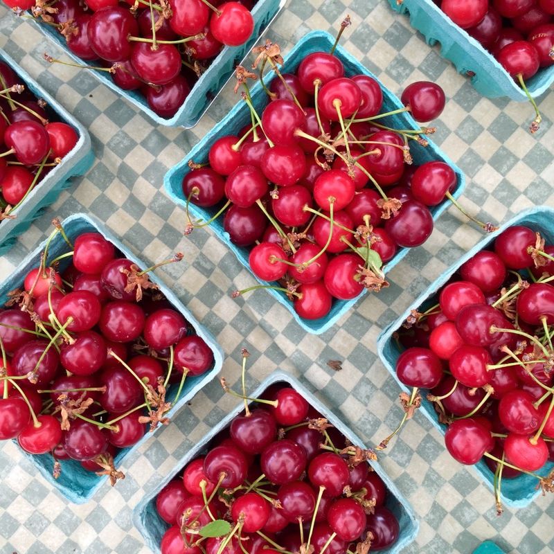 Frozen Cherries