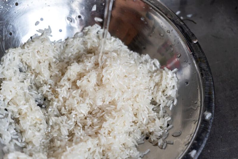 Rice