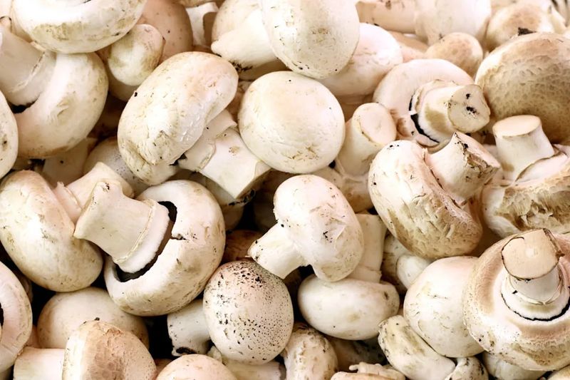 Mushrooms