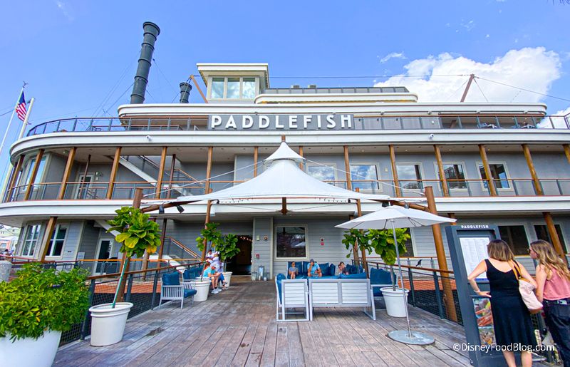 Paddlefish