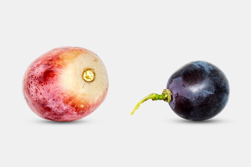 Grapes: From Firm and Juicy to Soft and Sad