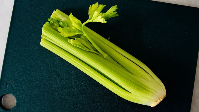 Crunchy Celery Stalks