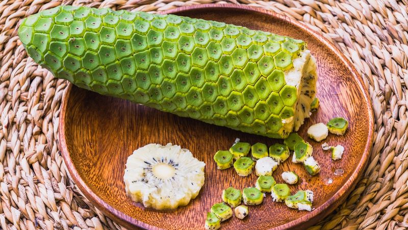 Perforated Swiss Cheese Fruit