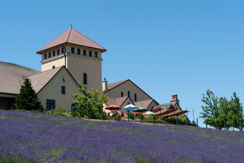 King Estate Winery Sunday Brunch