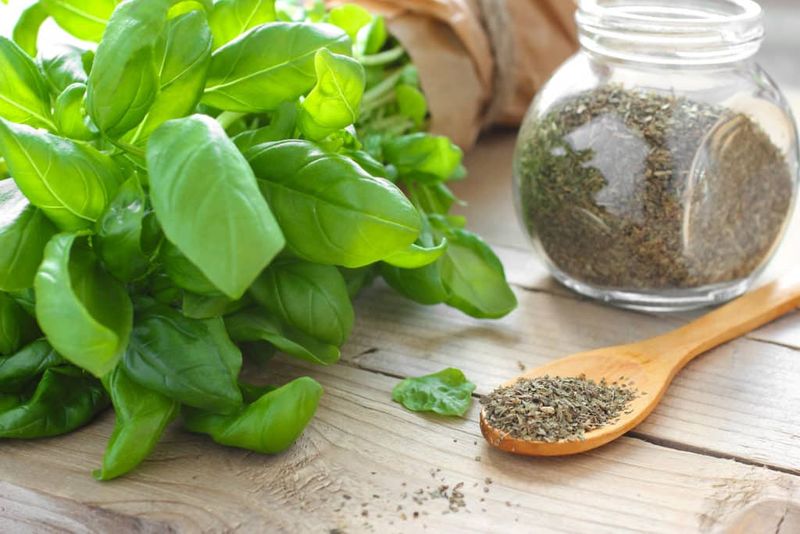 Dried Basil: Mediterranean Magic Gone in Months