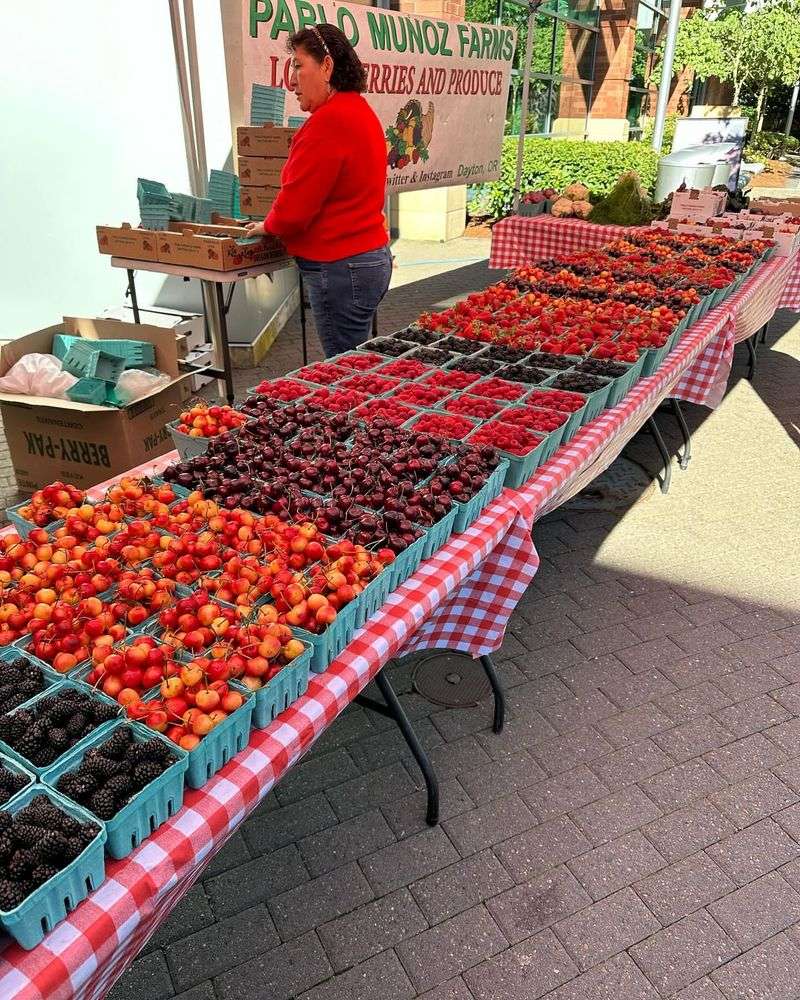 Salem Saturday Market (Salem)