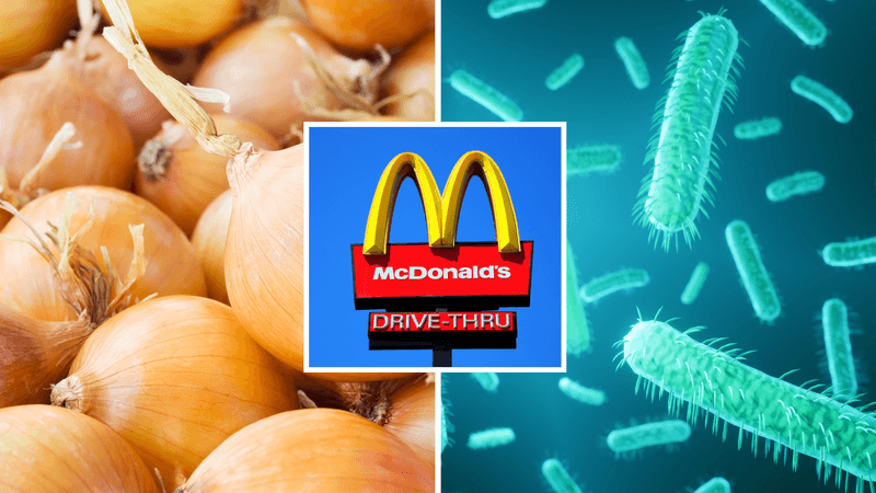 E. coli: Fast Food's Unwanted Ingredient