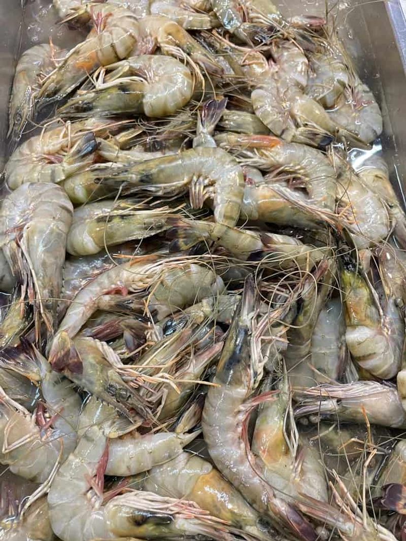Frozen Shrimp with Ammonia Smell