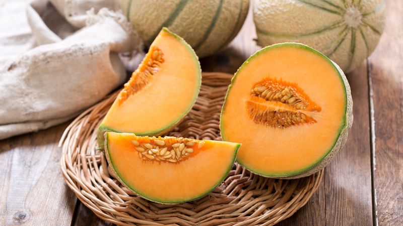 Immune System Shield