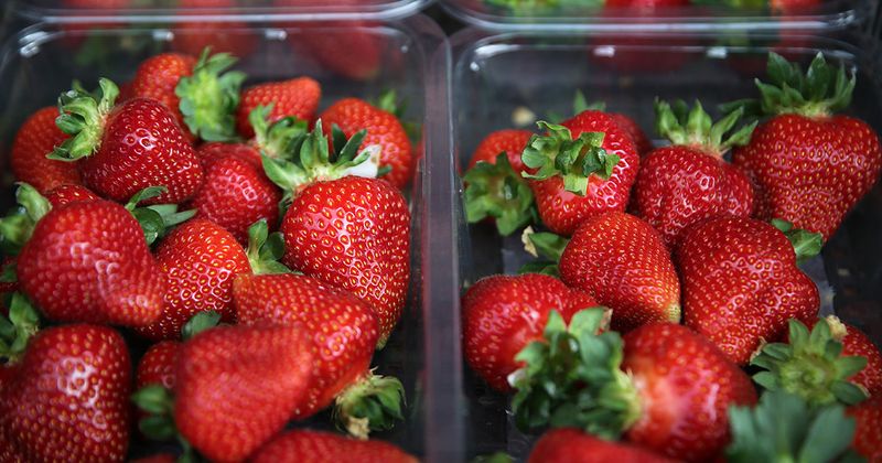 Strawberries: Red Flags in Your Fruit Bowl