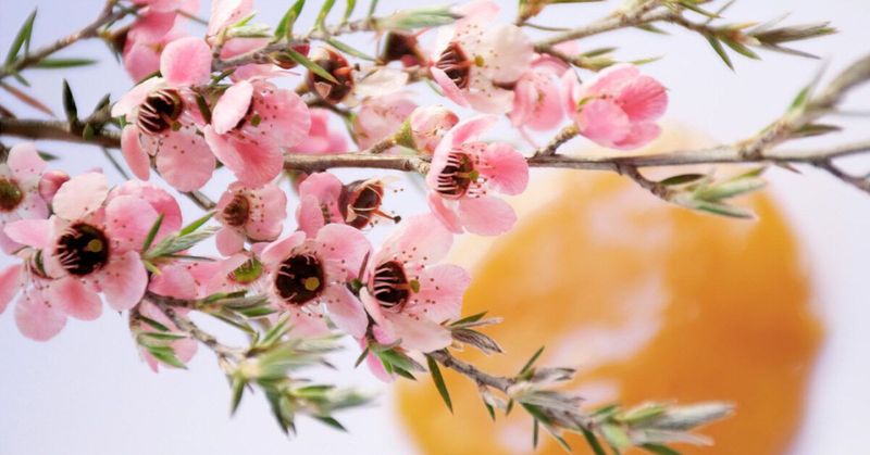 Remarkable Health Benefits Backed by Science