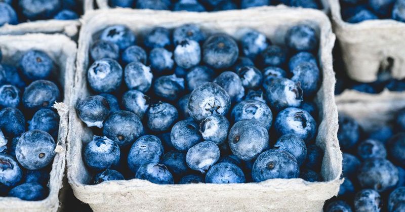 Blueberries: Tiny Blue Powerhouses