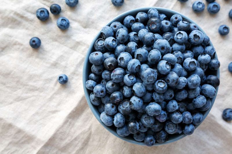 Blueberries: The Brain-Boosting Champions