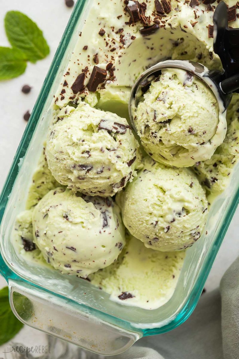 Mint Chocolate Chip Ice Cream