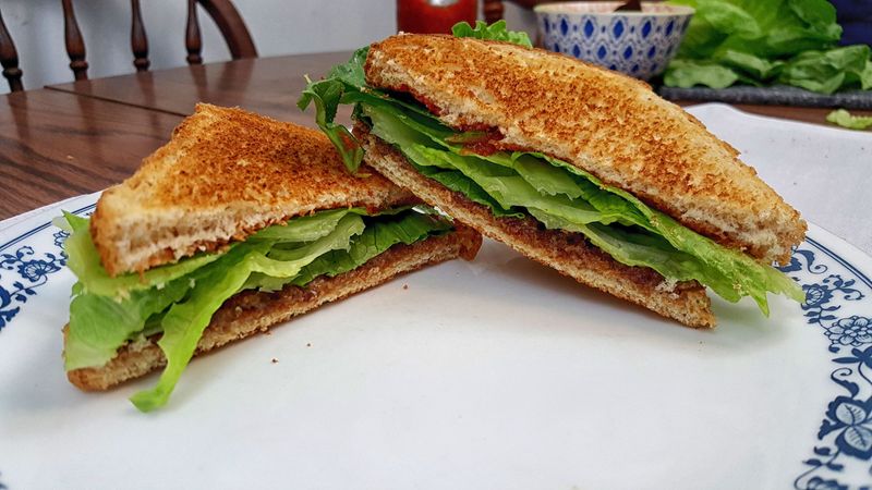 Lettuce and Salt Sandwich